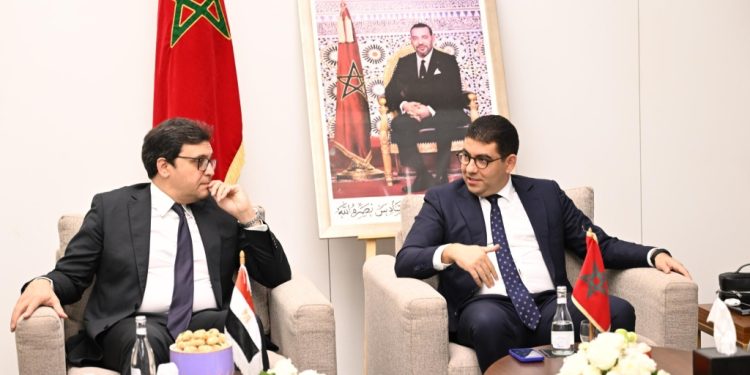 لقاءات ثنائية تجمع الوزير بنسعيد مع عدد من نظرائه العرب
