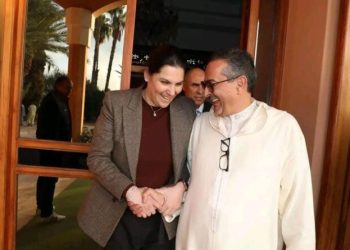المهاجري يعود للبام
