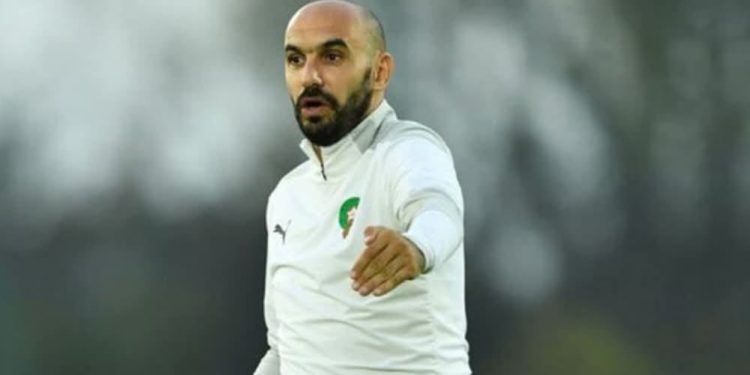 وليد الركراكي يتلقى أخبارا سارة قبل معسكر المنتخب الوطني