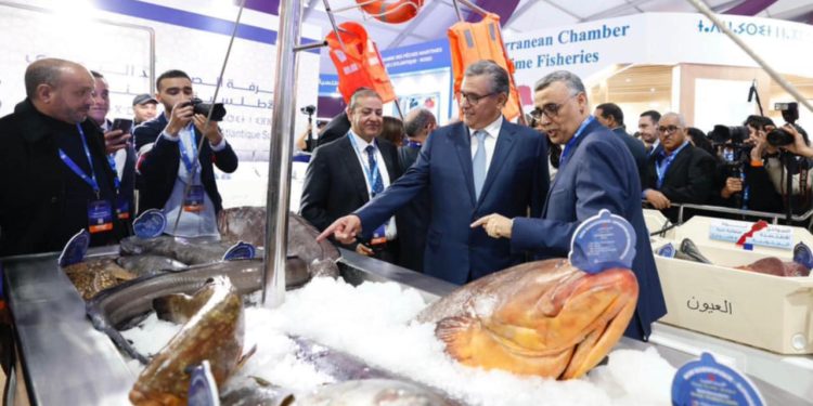 أخنوش يعطي الانطلاقة الرسمية لفعاليات الدورة السابعة لمعرض “أليوتيس” الدولي بأكادير