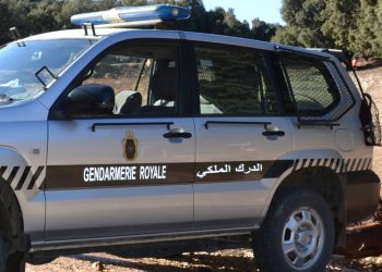 توقيف شخصين متورطين في ترويج المخدرات بميدلت