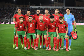 هذا هو الطاقم التحكيمي لمباراة الأسود ضد النيجر