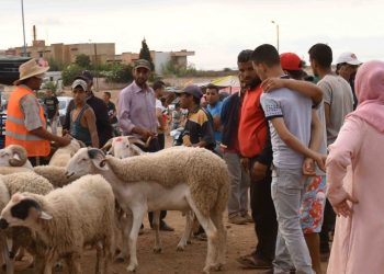 دعم وحماية الفلاحين مربي الماشية الصغار على طاولة وزير الفلاحة