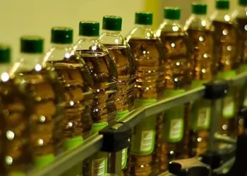 أسباب ارتفاع صادرات المغرب من الزيت والزيتون محور مساءلة برلمانية