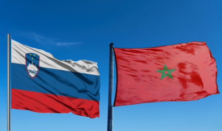 المغرب وسلوفينيا يؤكدان تعزيز الشراكة في مجالات مشتركة