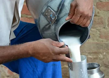 جمعيات حماية المستهلك تحذر من شراء الحليب ومشتقاته من المحلات غير المرخصة