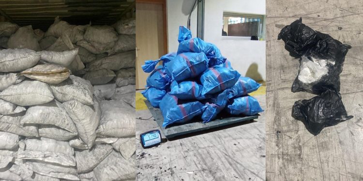 إحباط عملية تهريب المخدر_ات في ميناء طنجة المتوسط