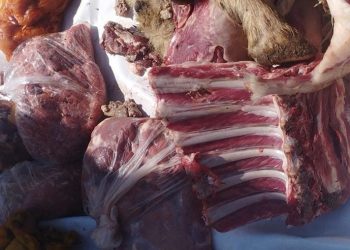 حجز كمية مهمة من اللحوم الفاسدة ببرشيد