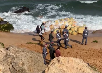 بالصور..درك آسفي يحجز كميات ضخمة من المخ_درات ويفتح تحقيقًا موسعًا