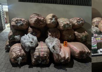 توقيف ثلاثة أشخاص وضبط كميات مهمة من المخد_رات في 3 مدن مغربية