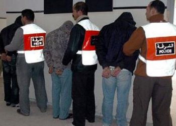 من التأشيرة إلى الاحتيال.. شقيقان في قبضة الشرطة بعد الاستيلاء على 20 سيارة