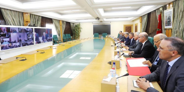المغرب يطلق مشروع إعادة تكوين القطيع الوطني للماشية