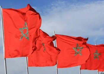 المغرب يتألق في معرض أستراليا للتصميم 2025