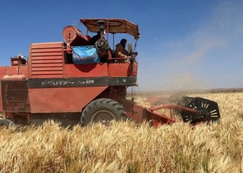 وفاة قاصر في حادثة مؤلمة أثناء عملية حصاد قرب ورزازات