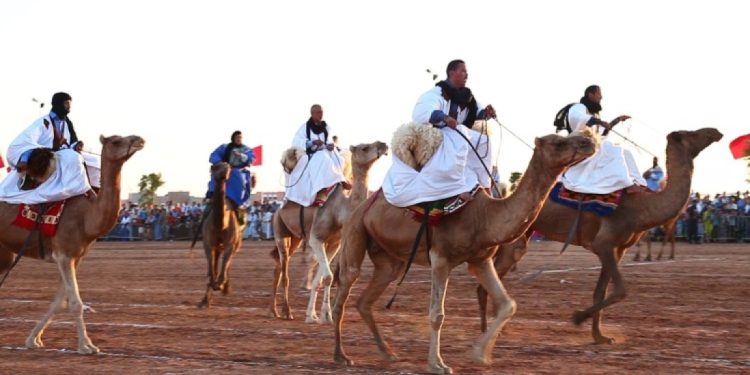 انطلاق الدورة ال12 لمهرجان أسبوع الجمل بكلميم