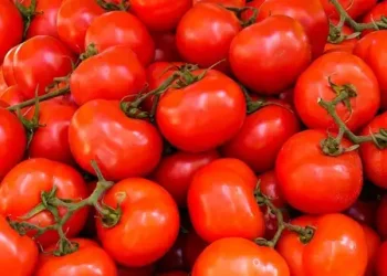زيادات مفاجئة في أسعار الخضر بأسواق الدارالبيضاء