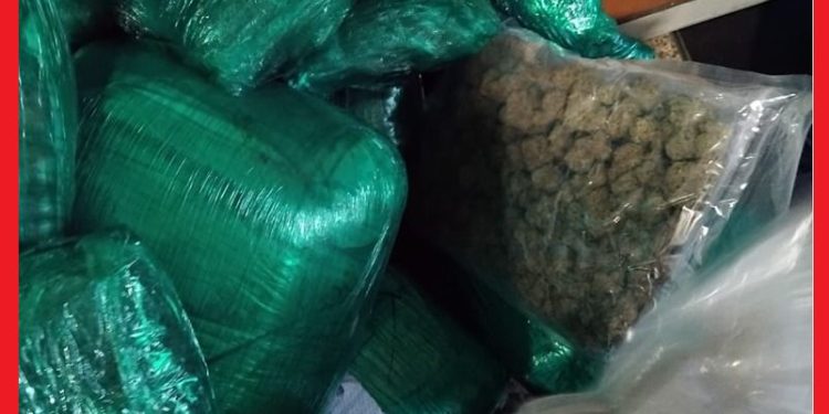 توقيف كنديين في مطار محمد الخامس بحوزتهما 133 كلغ من الحشيش