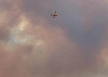 حر_يق مهول يلتهم غابة بوعنان في تطوان