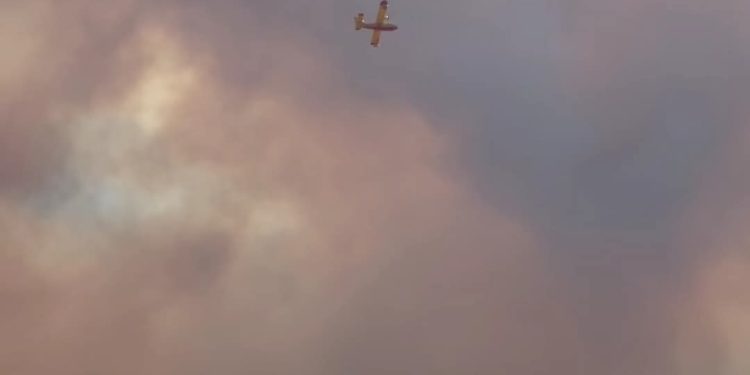 حر_يق مهول يلتهم غابة بوعنان في تطوان