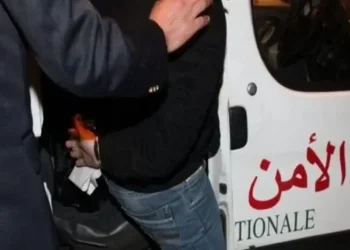 حجز 1280 قرصاً م_هلوساً وكوك_ايين بحوزة مروج مخ_درات بالقنيطرة