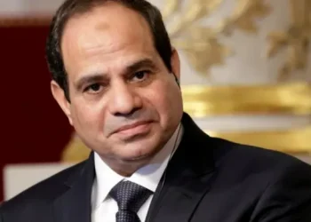 السيسي في قمة “بريكس”: إسرائيل تستخدم “التجويع سلا_حاً” وتمارس أبشع صور القت_ل في غزة