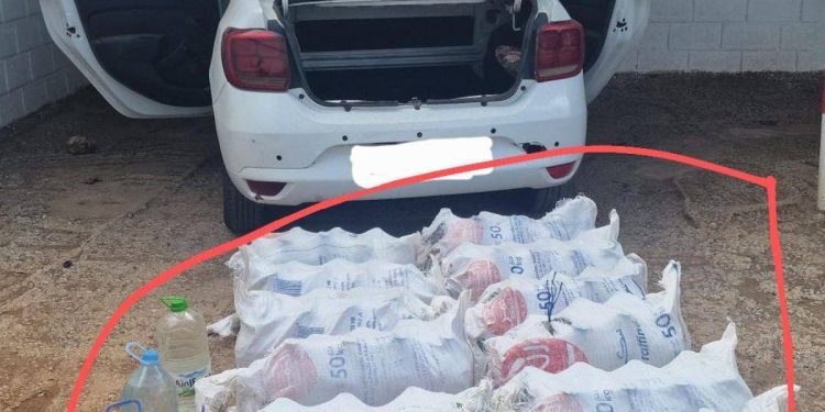 الدرك الملكي يوقف محاولة تهريب كمية كبيرة من “الما.حيا” بضواحي المحمدية
