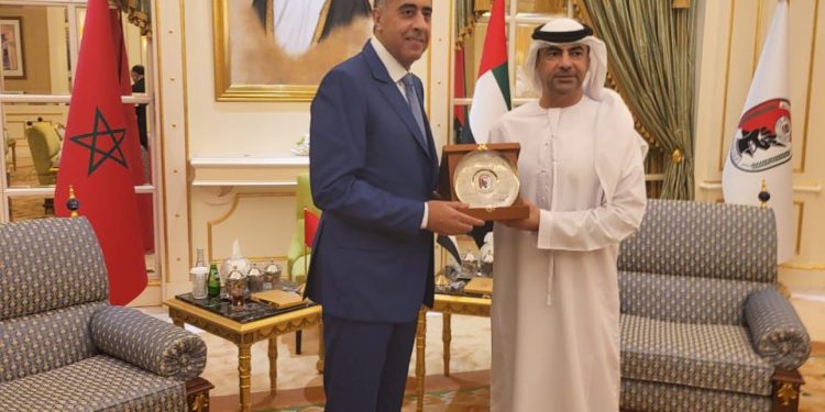 حموشي يجري زيارة عمل إلى دولة الإمارات العربية المتحدة