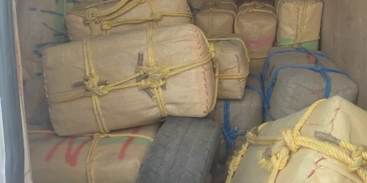 ضبط كمية مهمة من المخد_رات بسواحل تزنيت