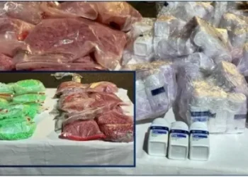 إحباط تهريب أزيد من 21 ألف قرص مخدر بميناء طنجة المتوسط