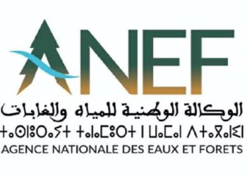 تفكيك شبكة خطيرة للاتجار غير المشروع في الأنواع المحمية بسيدي بوقنادل