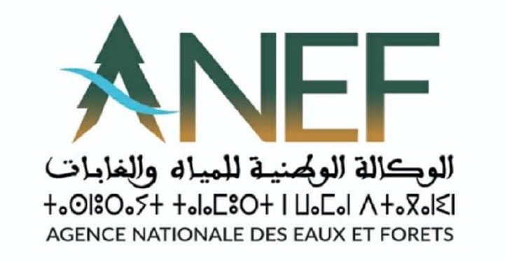 تفكيك شبكة خطيرة للاتجار غير المشروع في الأنواع المحمية بسيدي بوقنادل
