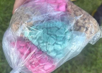 توقيف مروج مخد-رات بطنجة في عملية أمنية ناجحة