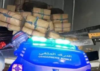 الدرك الملكي بسيدي إفني يحبط تهريب طن من الشي-را بكمين محكم