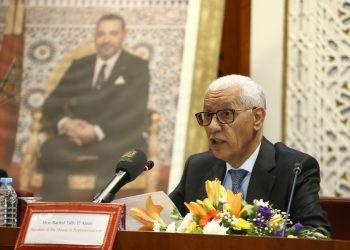 المغرب تحت القيادة الملكية يضع إفريقيا والشباب في صلب شراكاته التعاونية