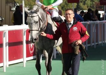 إسطبلات غرغار تمثّل ليبيا في جائزة  الملك محمد السادس للخيول العربية الأصيلة