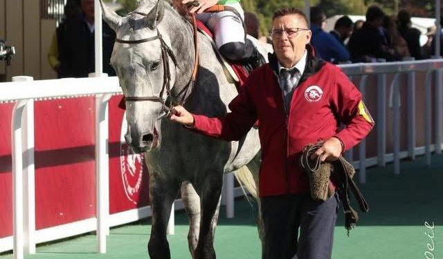 إسطبلات غرغار تمثّل ليبيا في جائزة الملك محمد السادس للخيول العربية الأصيلة