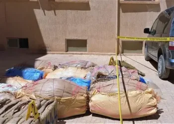 تارودانت.. الإطاحة بمروج خطير وحجز مخدر-ات بوادي سوس