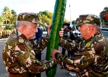 مول لخيار مواطن افريقي كون ثروة طائلة من خلال ممارسة الجنس مع زوجات المسؤولين وأبنائهم بالجزائر