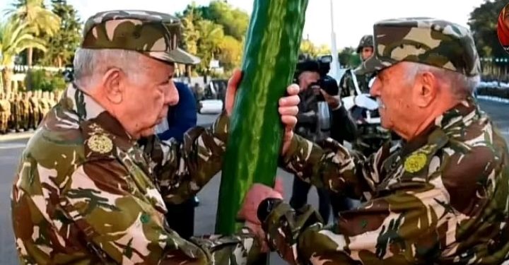 مول لخيار مواطن افريقي كون ثروة طائلة من خلال ممارسة الجنس مع زوجات المسؤولين وأبنائهم بالجزائر