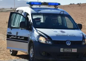 مراكش..الدرك يوقف سيارة محملة بـالما-حيا