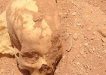 جدل كبير يرافق العثور على جمجمة بشرية بأسفي