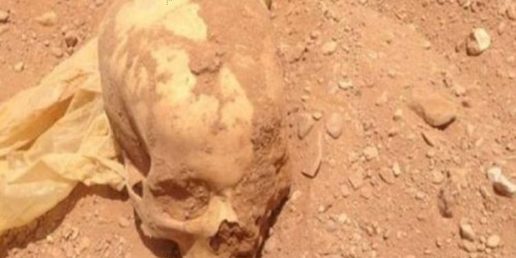 جدل كبير يرافق العثور على جمجمة بشرية بأسفي