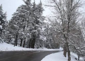 نشرة إنذارية..تساقطات ثلجية وأمطار قوية أحيانا رعدية مرتقبة بعدد من مناطق المملكة