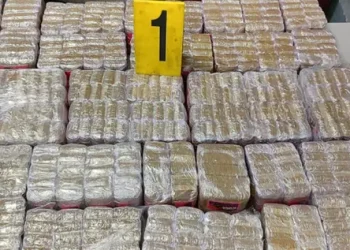 ضربة أمنية بإقليم آسفي تسفر عن حجز 1,5 طن من الشير-ا