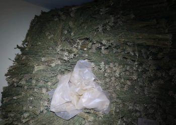عملية أمنية بالعرائش: حجز طن من القنب الهندي وتوقيف ثلاثة مروجين