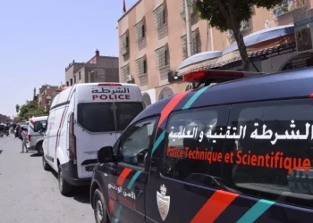 العثور على هيكل عظمي يستنفر السلطات بمدينة الجديدة
