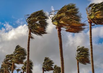 نشرة إنذارية:هبات رياح قوية مصحوبة بعواصف رملية مرتقبة بعدد من مناطق المملكة