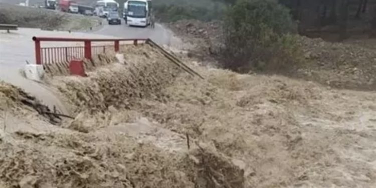 فيضانات الشمال تعيد إبراز البعد الاجتماعي للمؤسسة الملكية