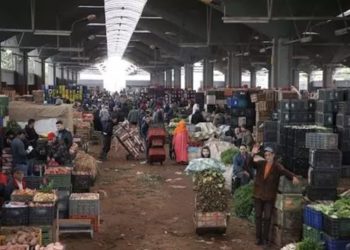 استقرار أسعار الخضر والفواكه بأسواق الجملة في الدار البيضاء مع تحسن الأحوال الجوية