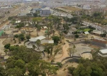 حديقة الحيوانات عين السبع تنطلق بقوة وتستقبل 76 ألف زائر في يناير